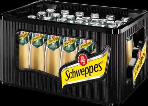 Schweppes Ginger Ale 24×0,2 Liter Glas