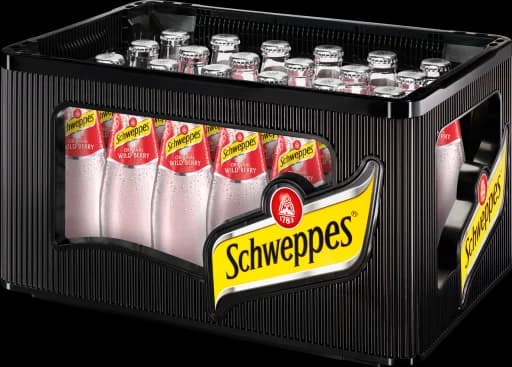 Schweppes Russian Wild Berry 24 x 0,2 l (Glas)